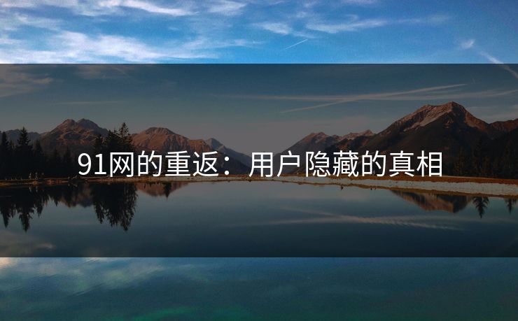 91网的重返：用户隐藏的真相