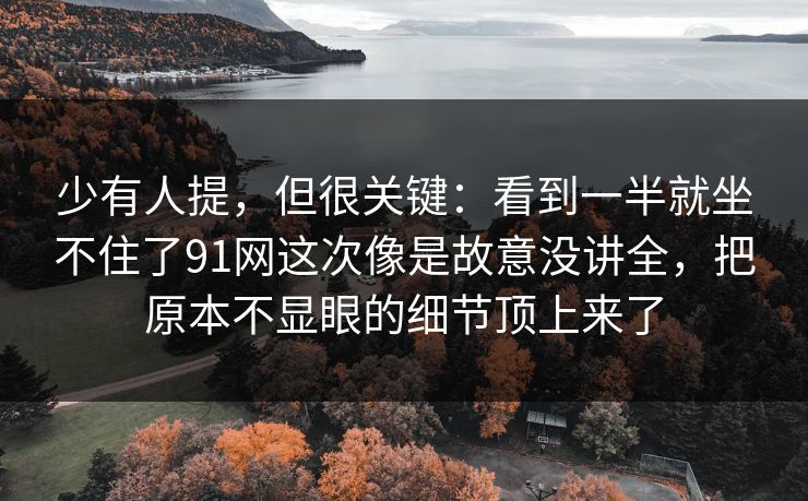 少有人提，但很关键：看到一半就坐不住了91网这次像是故意没讲全，把原本不显眼的细节顶上来了