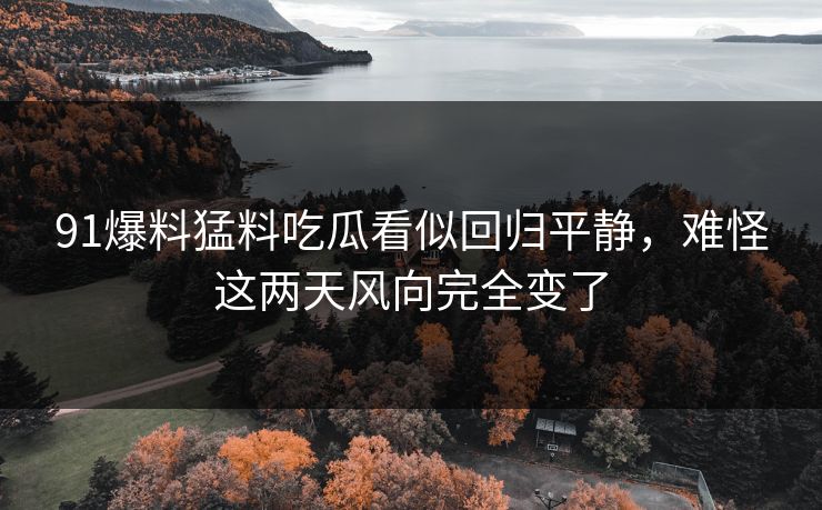 91爆料猛料吃瓜看似回归平静，难怪这两天风向完全变了