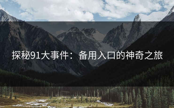 探秘91大事件：备用入口的神奇之旅