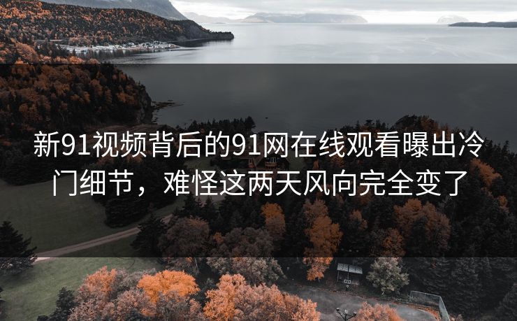 新91视频背后的91网在线观看曝出冷门细节，难怪这两天风向完全变了