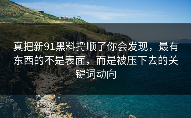 真把新91黑料捋顺了你会发现,最有东西的不是表面,而是被压下去的关键词动向 真把新91黑料捋顺了你会发现,最有东西的不是表面,而是被压下去的关键词动向