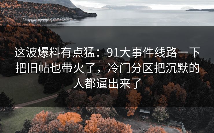 这波爆料有点猛：91大事件线路一下把旧帖也带火了，冷门分区把沉默的人都逼出来了