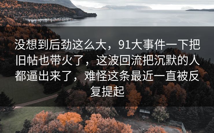 没想到后劲这么大,91大事件一下把旧帖也带火了,这波回流把沉默的人都逼出来了,难怪这条最近一直被反复提起 没想到后劲这么大,91大事件一下把旧帖也带火了,这波回流把沉默的人都逼出来了,难怪这条最近一直被反复提起