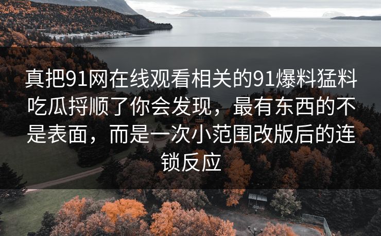 真把91网在线观看相关的91爆料猛料吃瓜捋顺了你会发现,最有东西的不是表面,而是一次小范围改版后的连锁反应 真把91网在线观看相关的91爆料猛料吃瓜捋顺了你会发现,最有东西的不是表面,而是一次小范围改版后的连锁反应